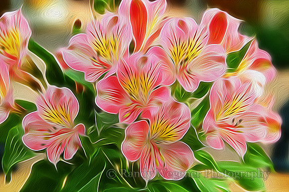 Flowers_5