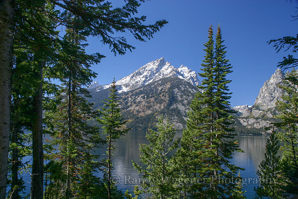 Jenny Lake view