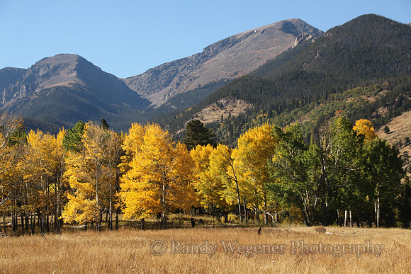 RMNP