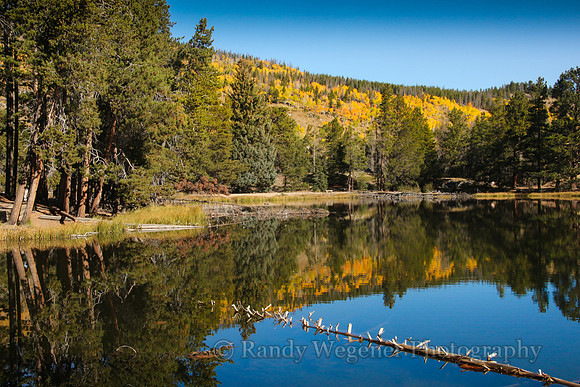RMNP