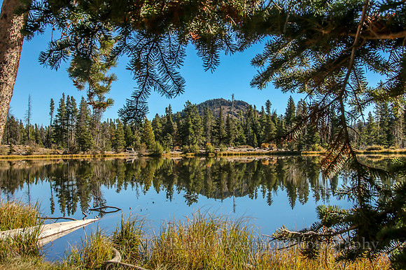 RMNP